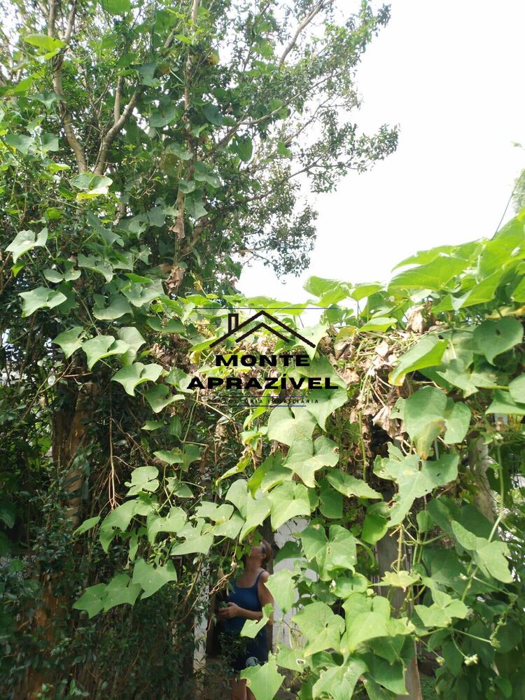 Chácara, 3 quartos, 800 m² - Foto 32