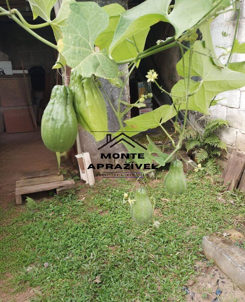 Chácara, 3 quartos, 800 m² - Foto 7