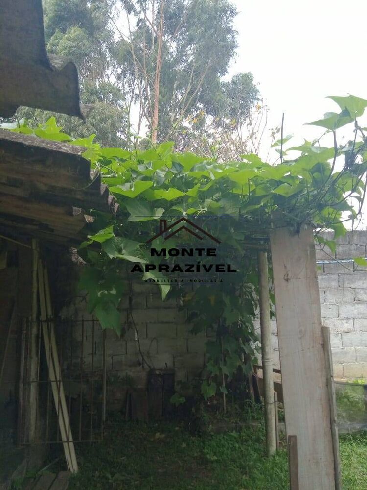 Chácara, 3 quartos, 800 m² - Foto 28