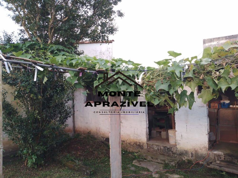 Chácara, 3 quartos, 800 m² - Foto 3