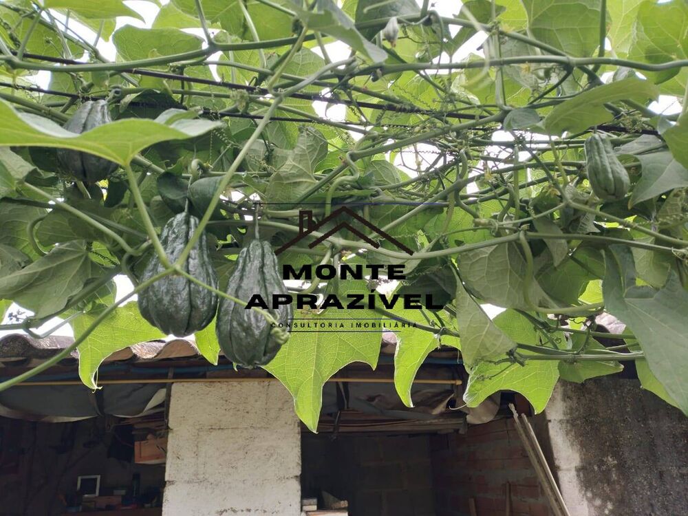 Chácara, 3 quartos, 800 m² - Foto 17