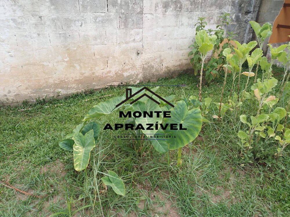 Chácara, 3 quartos, 800 m² - Foto 16