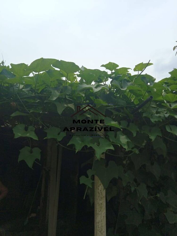 Chácara, 3 quartos, 800 m² - Foto 26