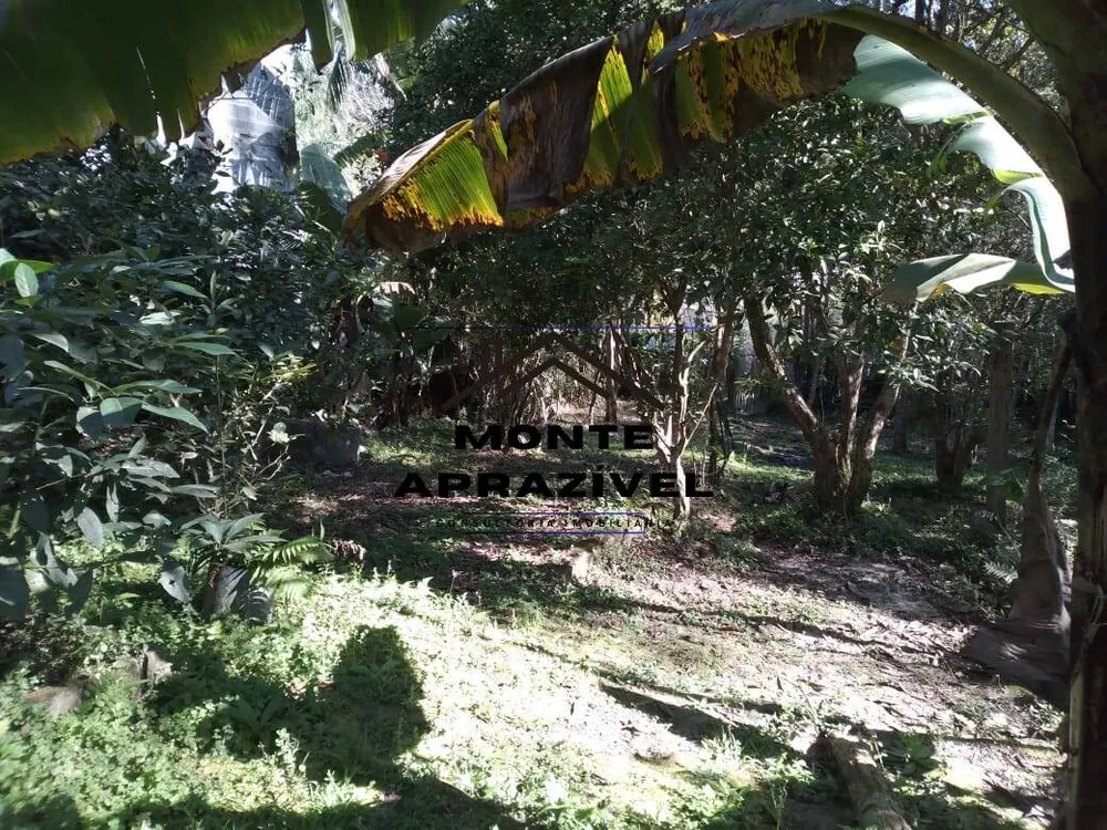Chácara, 2 quartos, 1420 m² - Foto 5