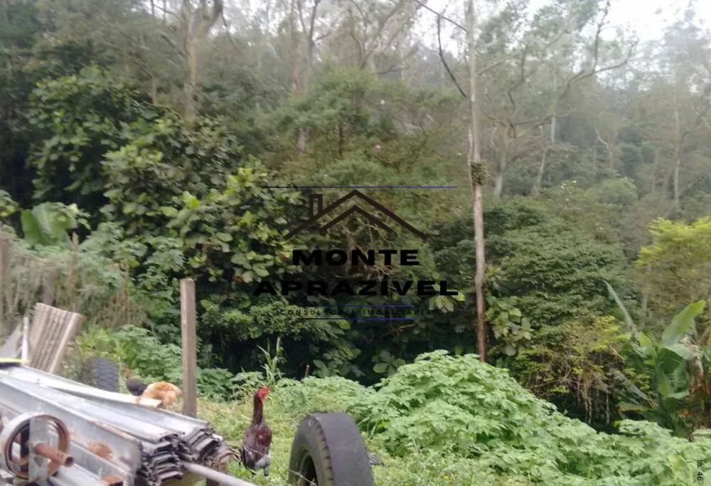 Terreno, 7 hectares - Foto 6