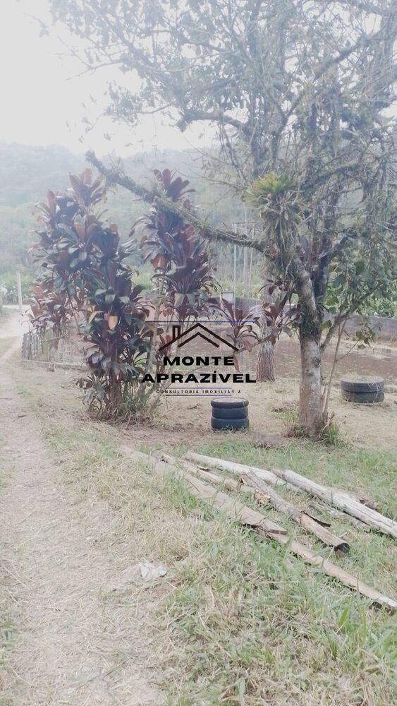 Chácara à venda com 5 quartos, 2500m² - Foto 18