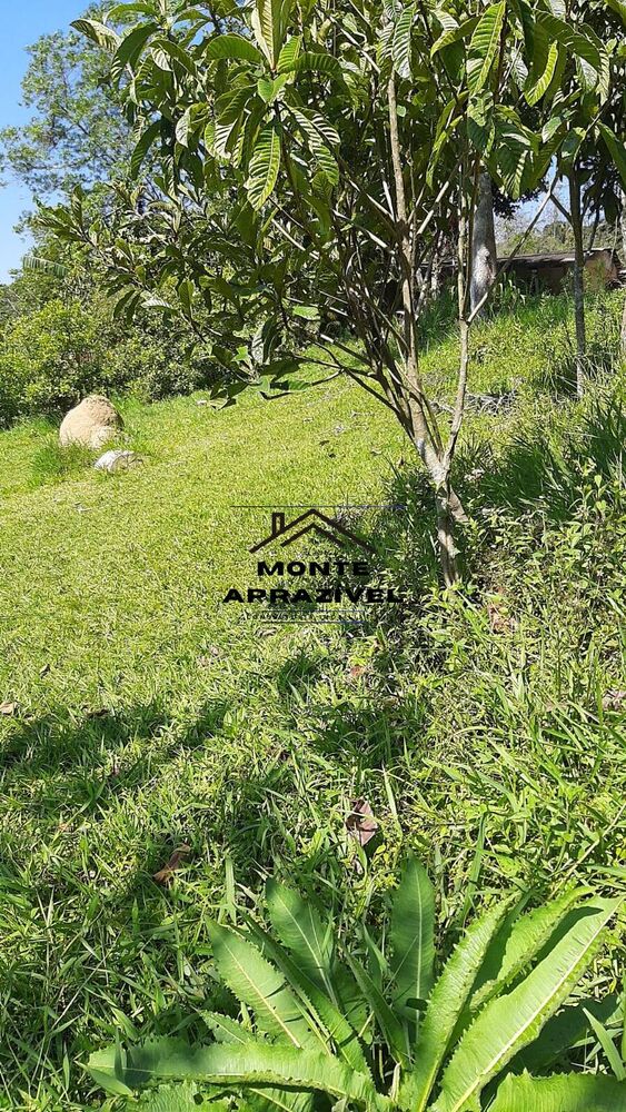 Chácara à venda com 5 quartos, 2500m² - Foto 15