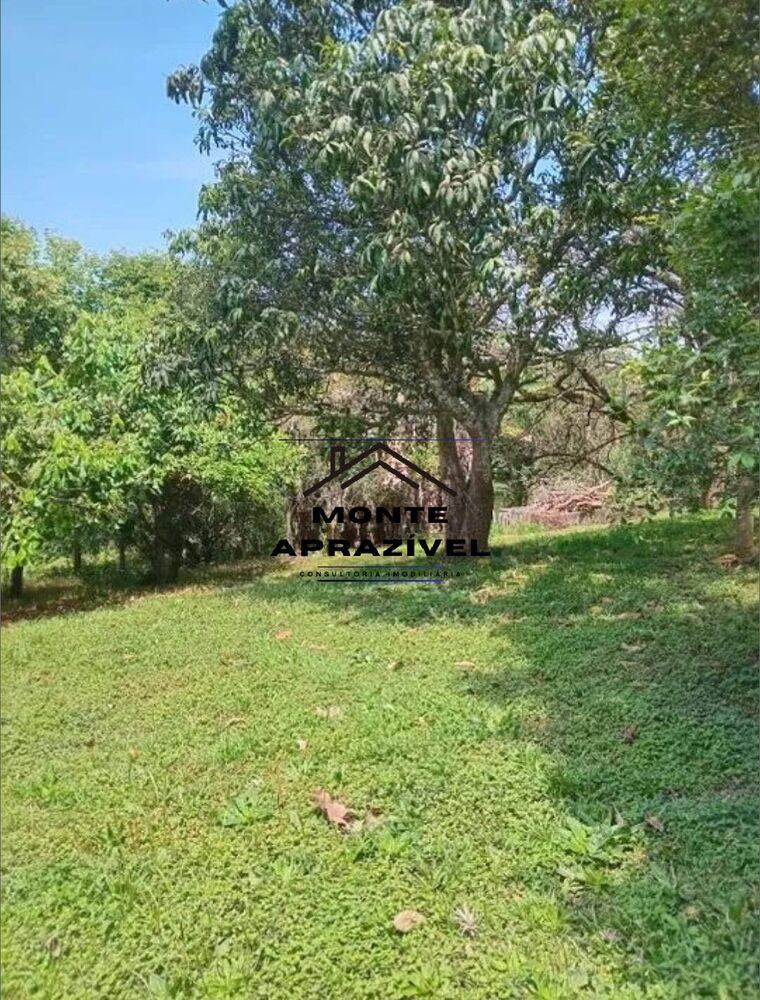 Chácara, 6 quartos, 7485 m² - Foto 4