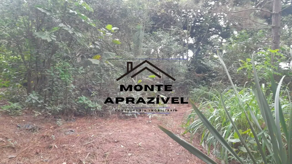 Terreno, 4000 m² - Foto 11