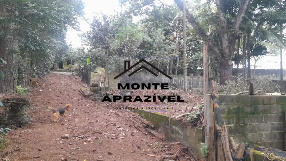 Terreno, 4000 m² - Foto 3
