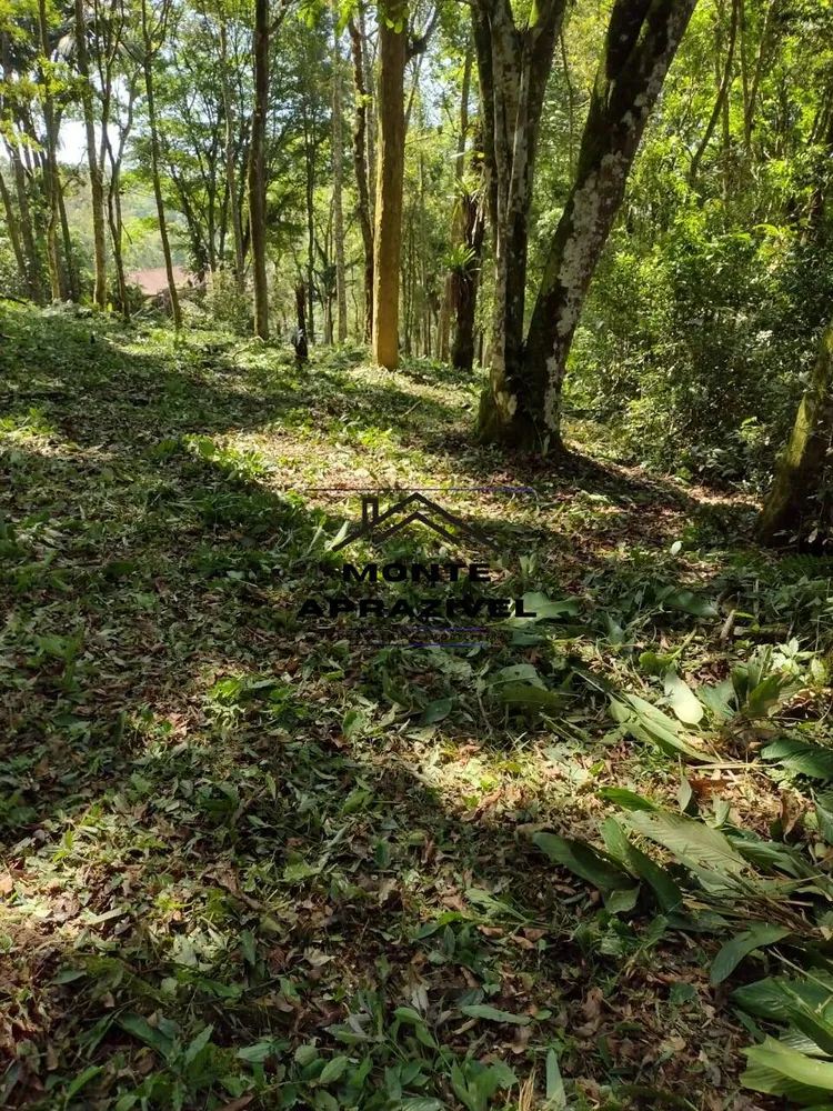 Terreno, 2000 m² - Foto 5