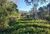 Terreno, 1 hectares - Foto 3