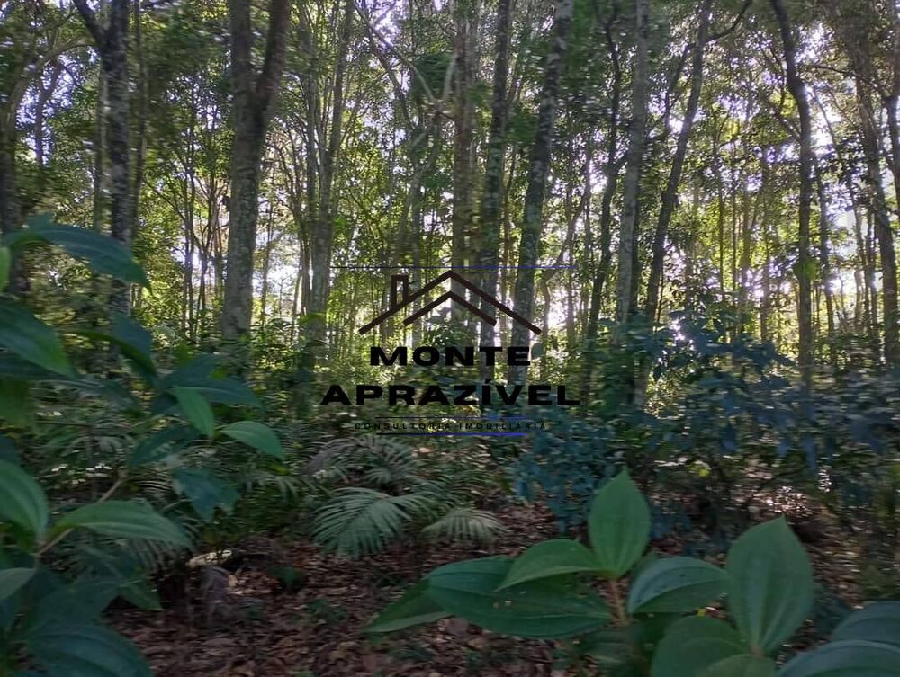 Terreno, 5000 m² - Foto 5