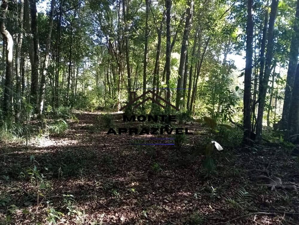 Terreno, 5000 m² - Foto 7