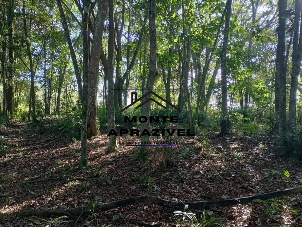 Terreno, 5000 m² - Foto 10