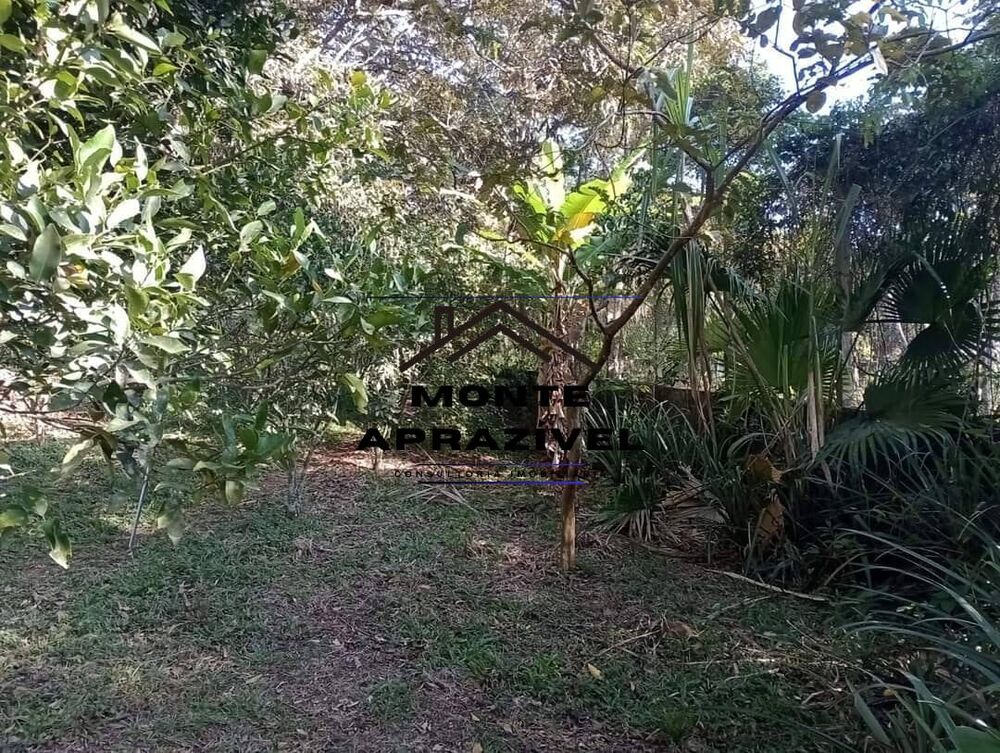 Terreno, 5000 m² - Foto 3