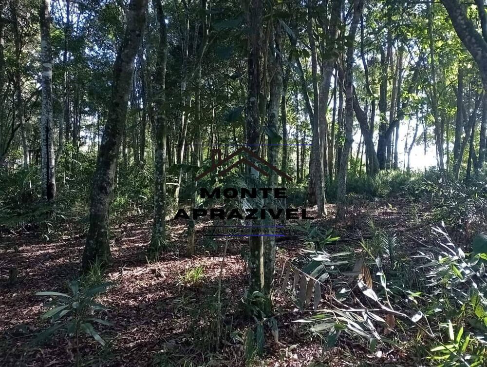 Terreno, 5000 m² - Foto 9