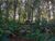 Terreno, 5000 m² - Foto 5