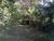 Terreno, 5000 m² - Foto 3