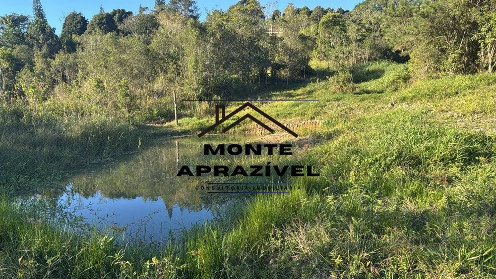 Chácara, 3 quartos, 1 hectares - Foto 3