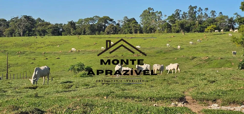 Sítio, 6 quartos, 24 hectares - Foto 7