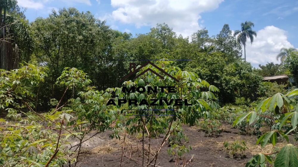 Chácara, 4 quartos, 1200 m² - Foto 30