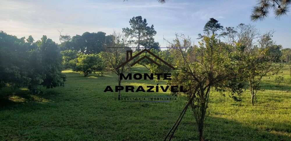 Sítio, 4 quartos, 4 hectares - Foto 29