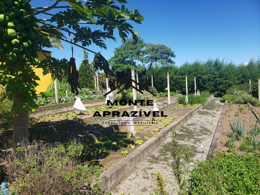 Sítio, 4 quartos, 4 hectares - Foto 11