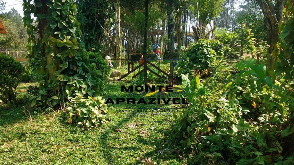 Sítio, 10 quartos, 2 hectares - Foto 7