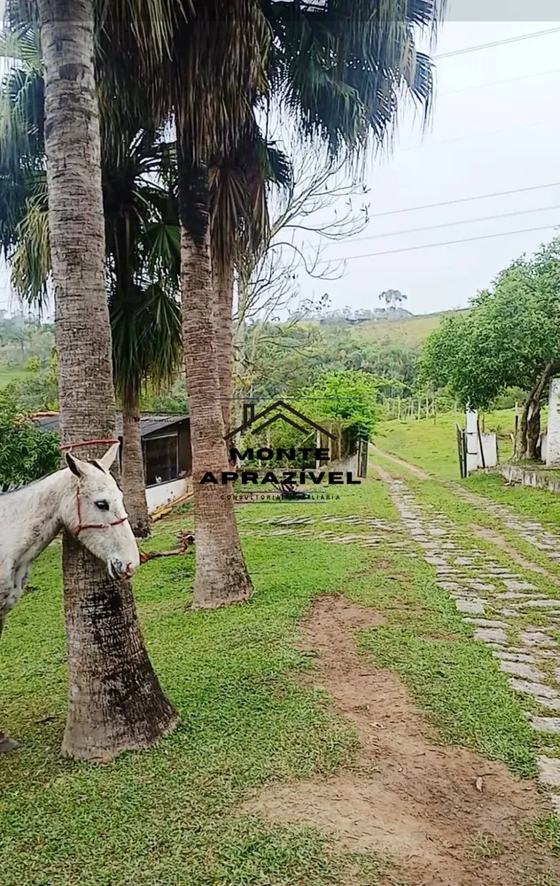 Sítio, 3 quartos, 86 hectares - Foto 12