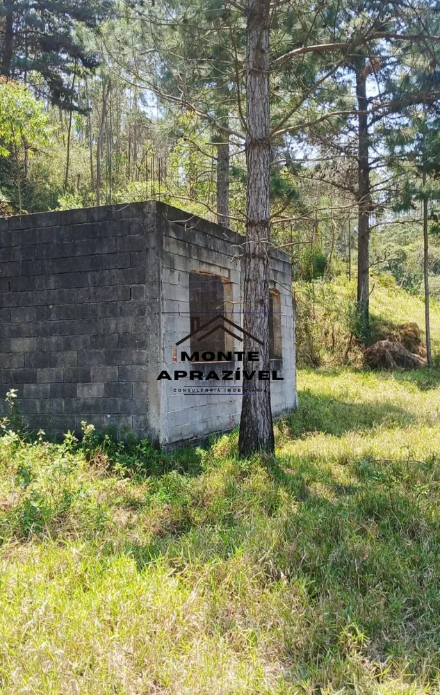 Sítio, 3 quartos, 86 hectares - Foto 5