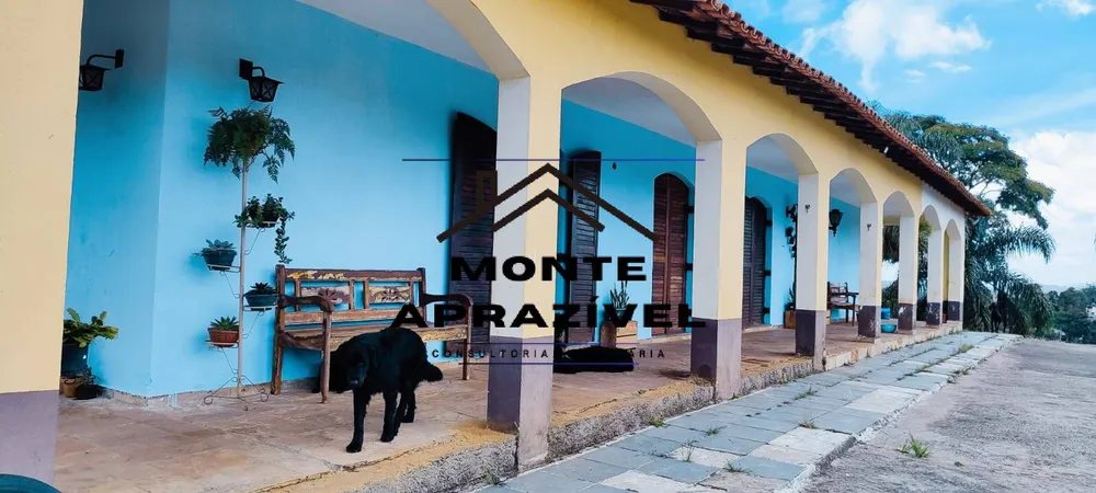 Chácara, 3 quartos, 8000 m² - Foto 4