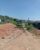 Terreno, 300 m² - Foto 3