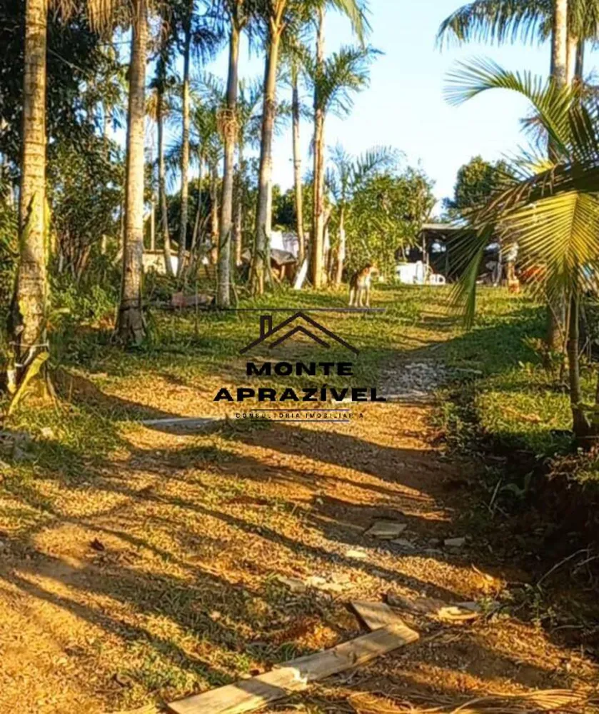 Chácara, 2 quartos, 1867 m² - Foto 4