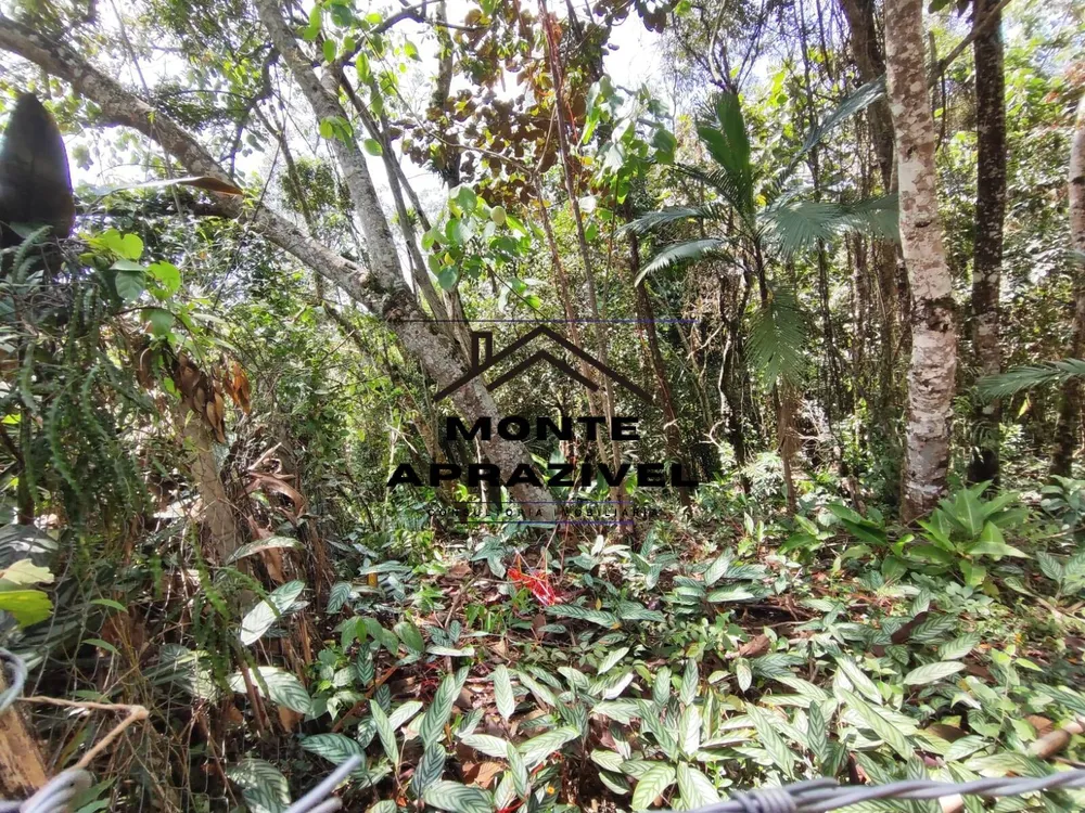 Terreno, 2500 m² - Foto 3