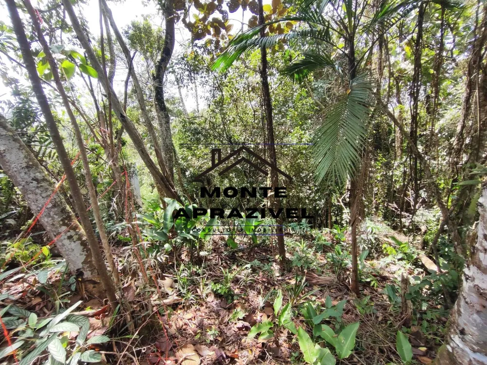 Terreno, 2500 m² - Foto 4
