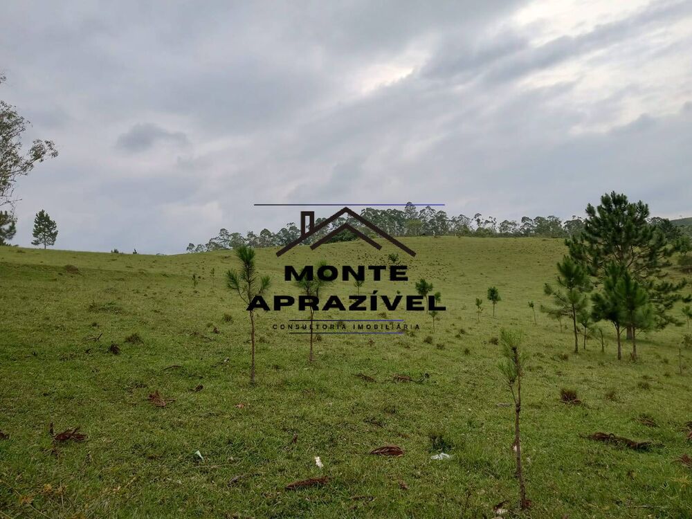 Sítio, 8 quartos, 41 hectares - Foto 16