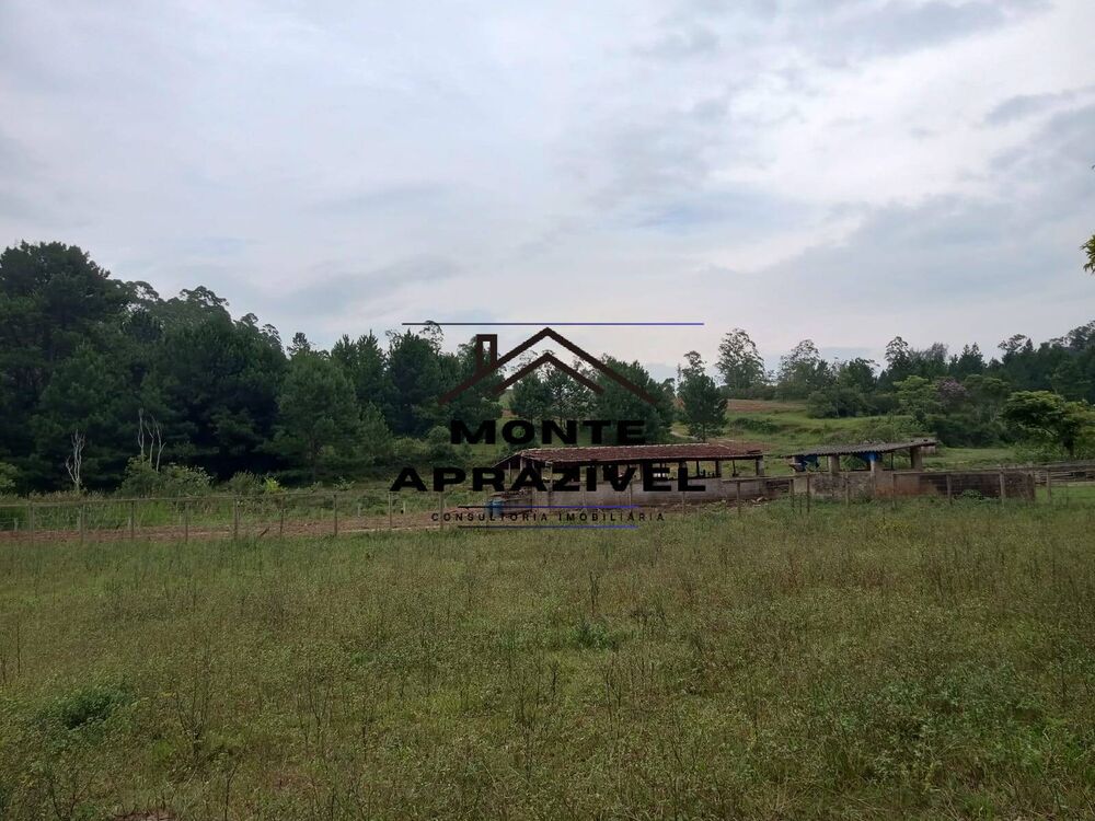 Sítio, 8 quartos, 41 hectares - Foto 4