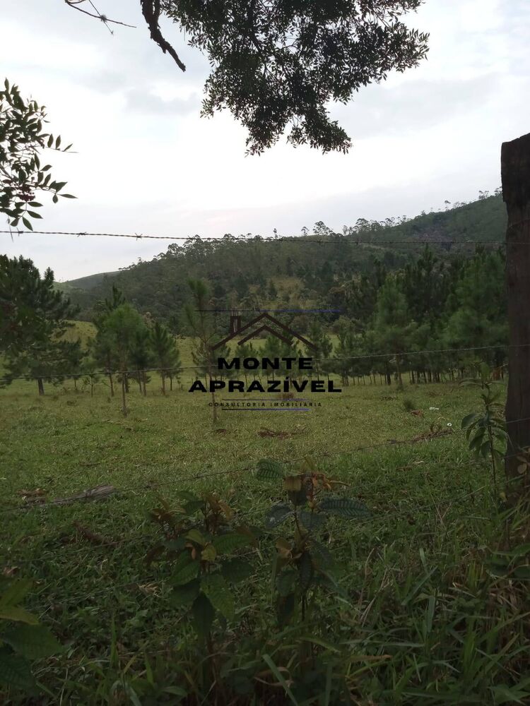 Sítio, 8 quartos, 41 hectares - Foto 6