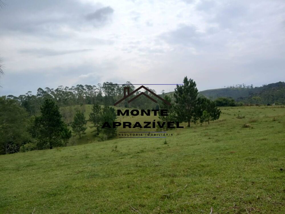 Sítio, 8 quartos, 41 hectares - Foto 11