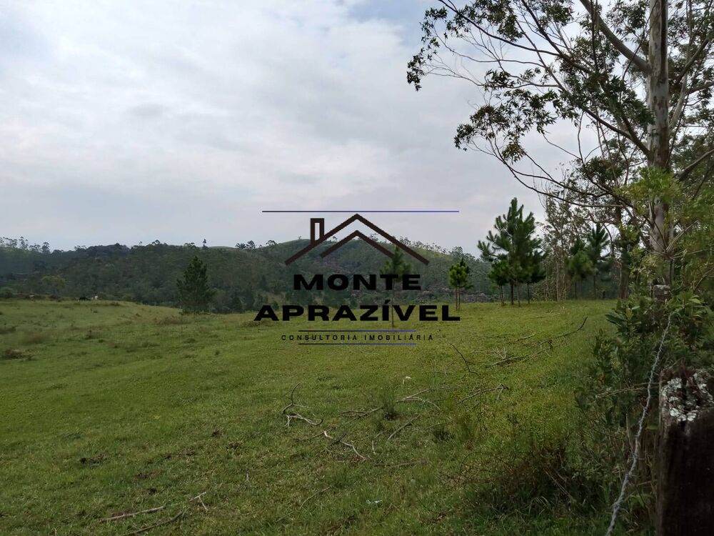 Sítio, 8 quartos, 41 hectares - Foto 10