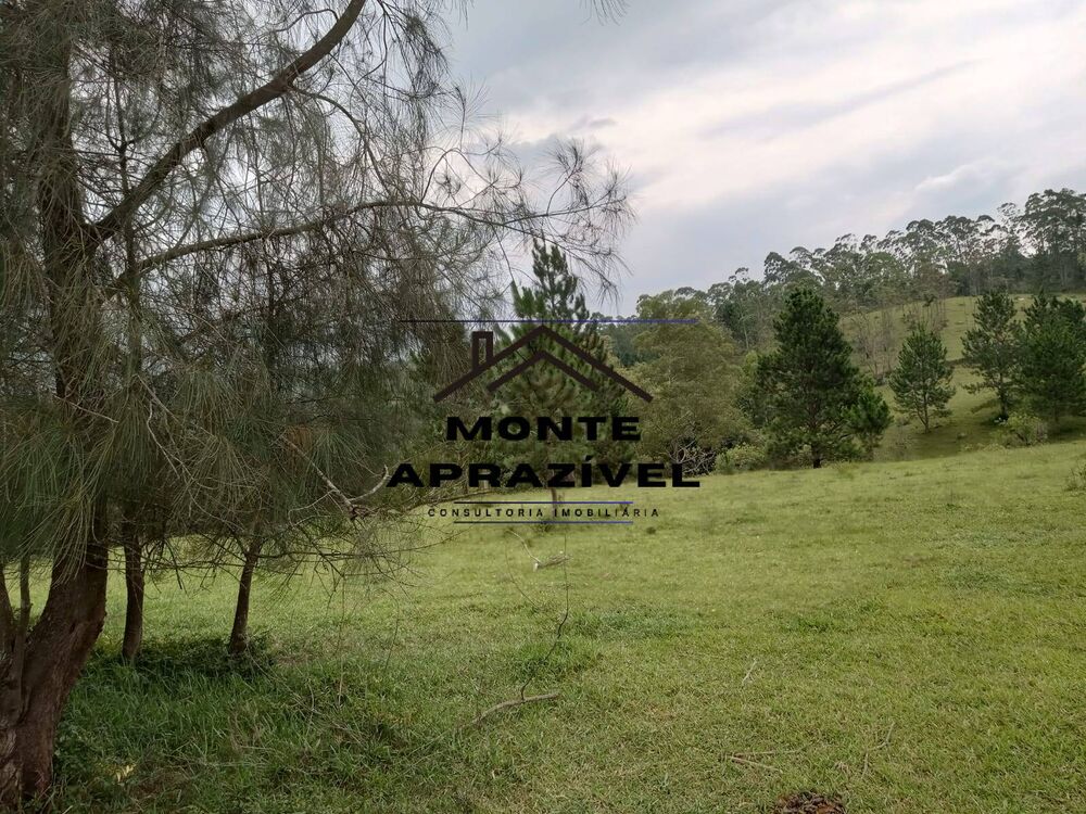 Sítio, 8 quartos, 41 hectares - Foto 15