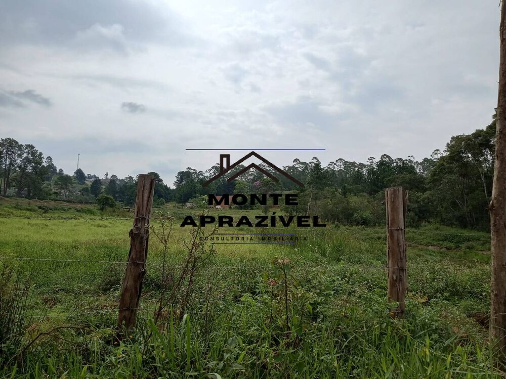 Sítio, 8 quartos, 41 hectares - Foto 12