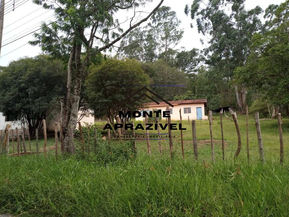 Sítio, 8 quartos, 41 hectares - Foto 2