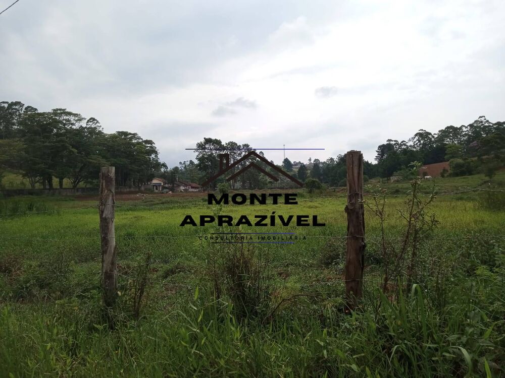 Sítio, 8 quartos, 41 hectares - Foto 14