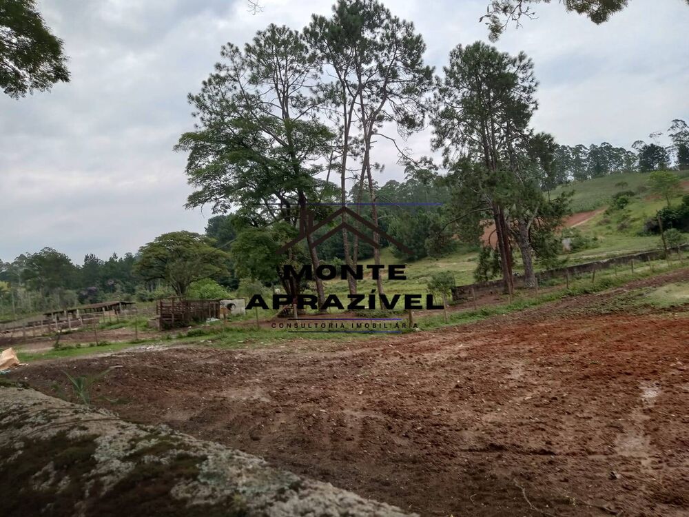 Sítio, 8 quartos, 41 hectares - Foto 3