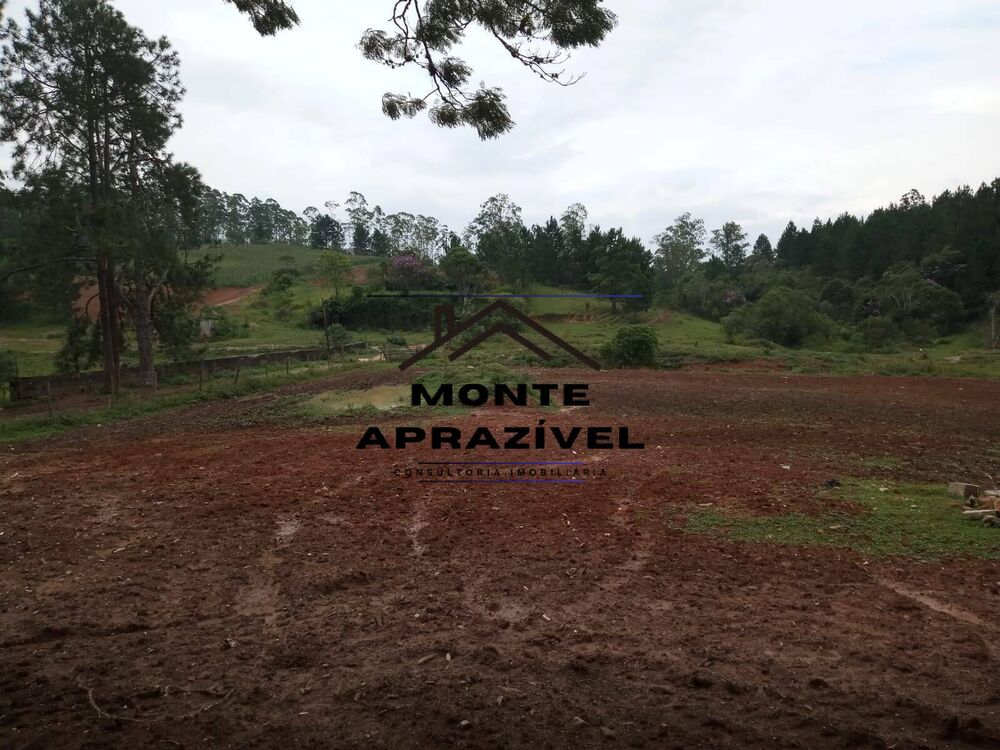 Sítio, 8 quartos, 41 hectares - Foto 13