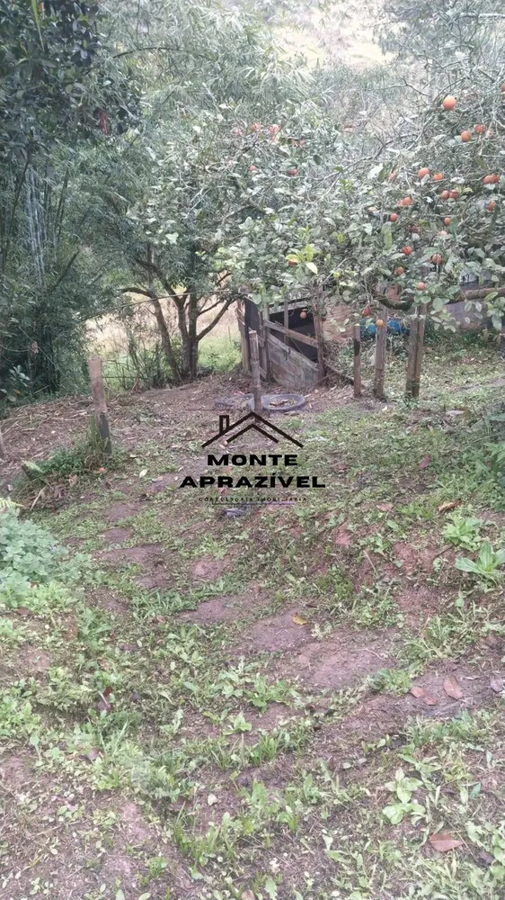 Chácara, 3 quartos, 1554 m² - Foto 38