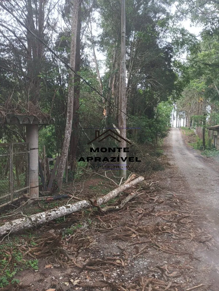 Terreno, 1 hectares - Foto 3