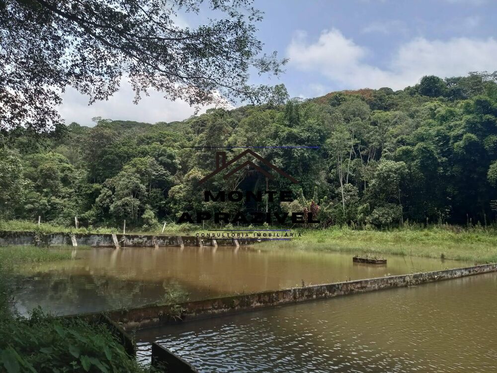 Terreno, 2 hectares - Foto 7